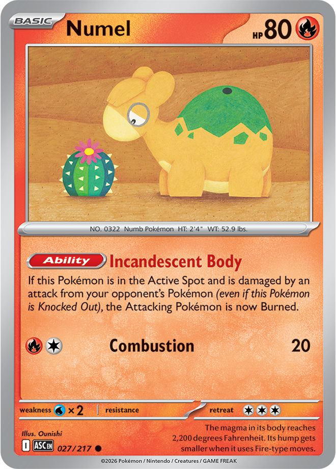 027/217 Numel Ascended Heroes Pokemon card